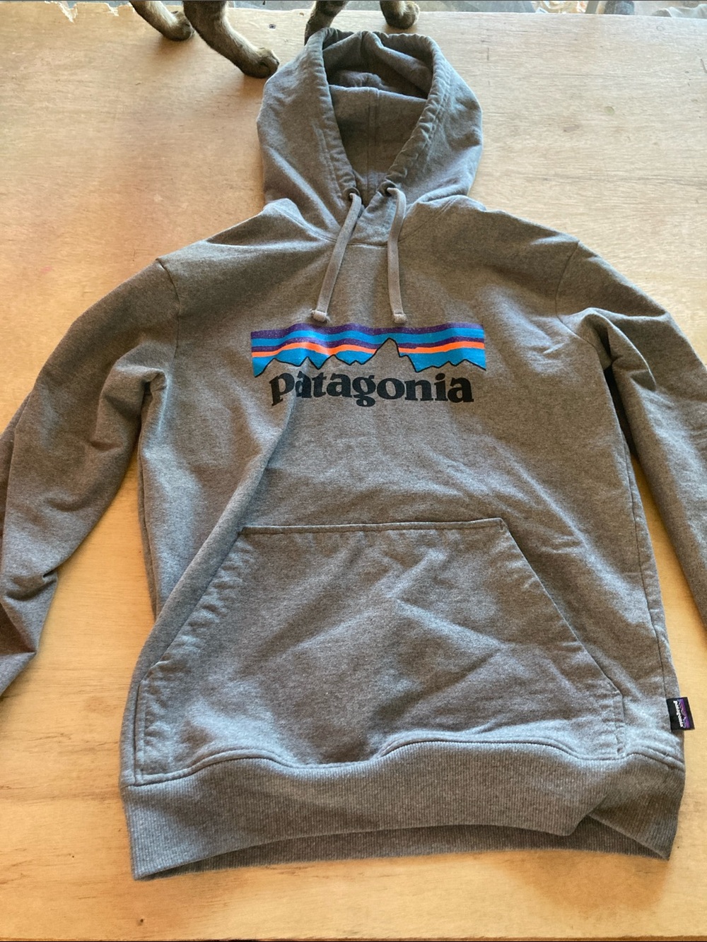 Patagonia Gray Hoodie with Multicolor Logo